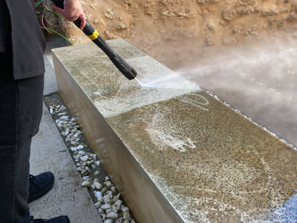 Best Best Pressure Washing Companies  in Litchfield, MN