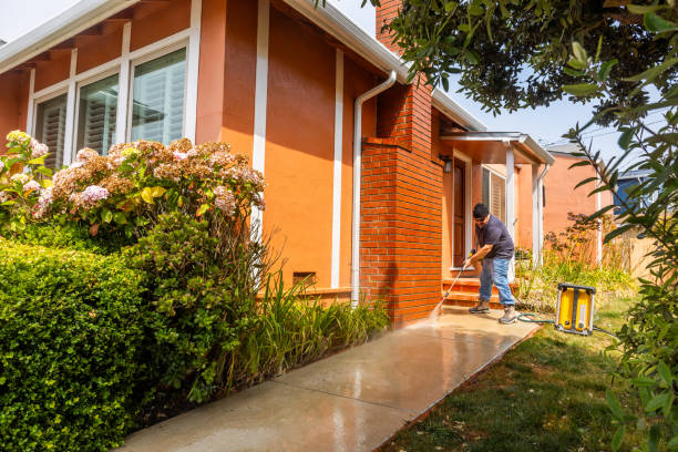 Best Power Washing Near Me  in Litchfield, MN