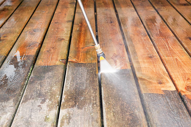 Best Commercial Building Pressure Washing  in Litchfield, MN