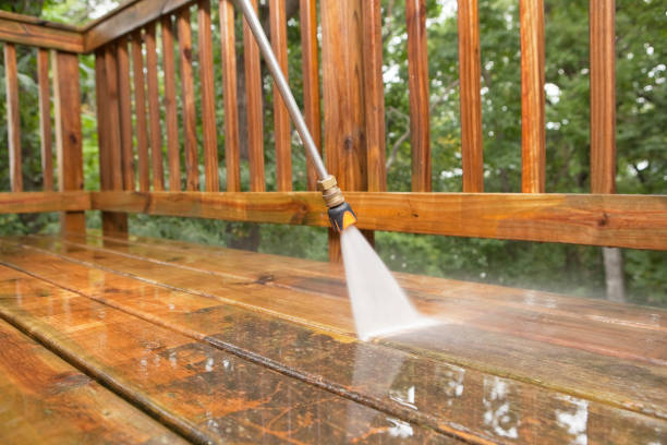 Best Roof Power Washing Services  in Litchfield, MN