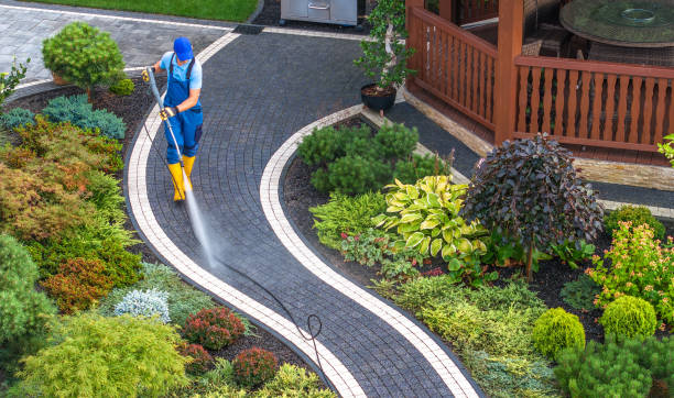 Best Pressure Washing Near Me  in Litchfield, MN